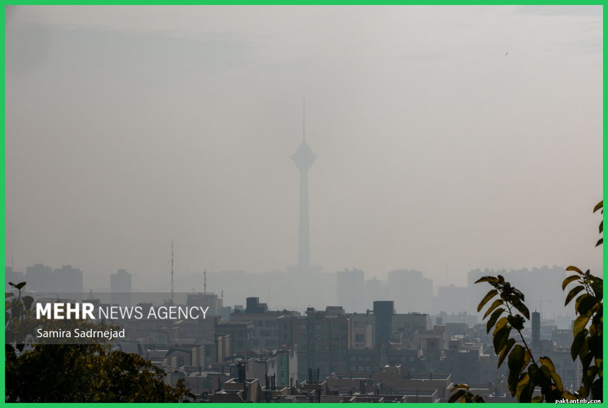 آلودگی هوا؛ عامل استرس و تهدیدی برای سیستم ایمنی بدن