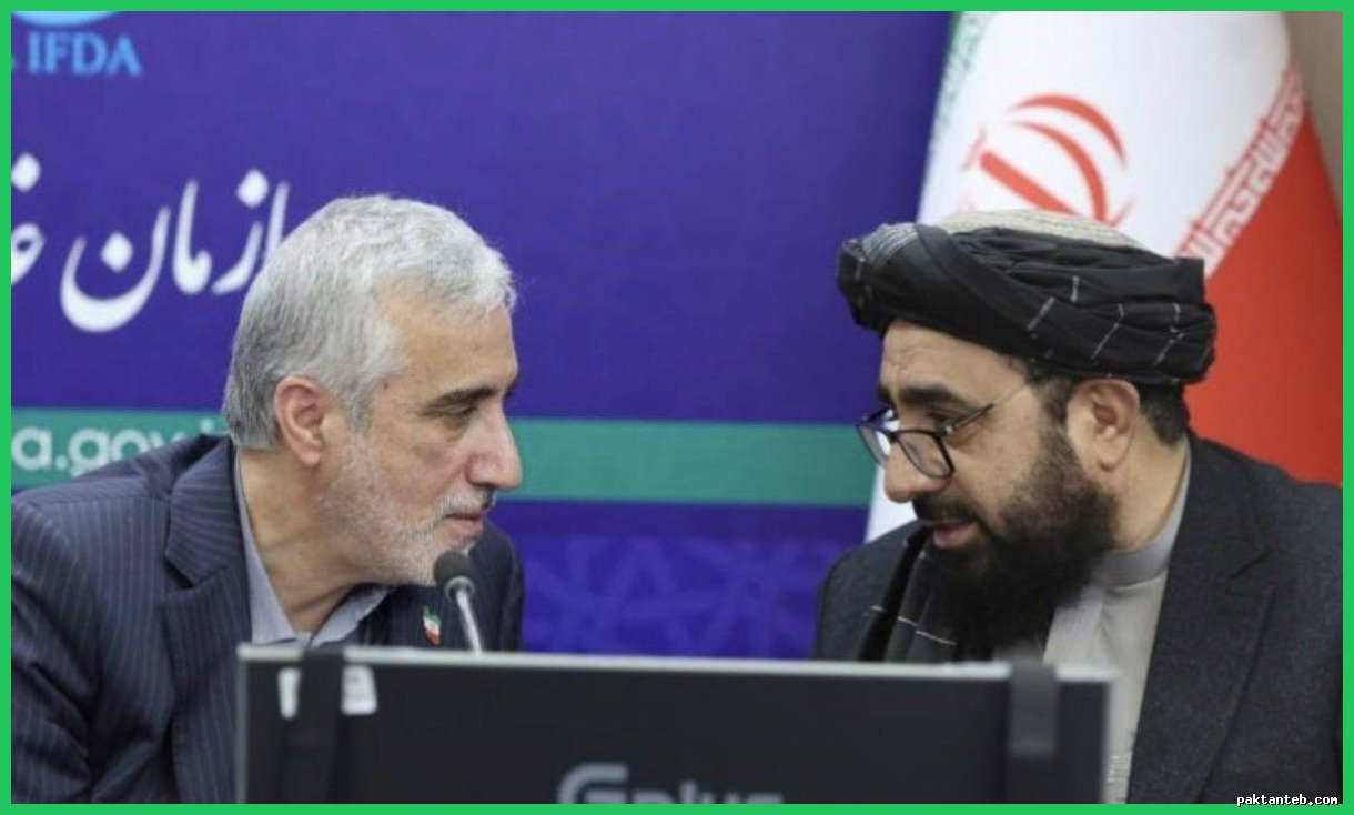 توسعه همکاری‌های دارویی ایران و افغانستان در سفر هیئت افغان